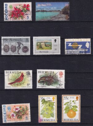 Bermuda Diverse