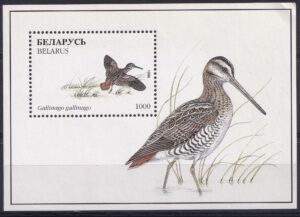 Hviderusland Stamp Frimærker 1996