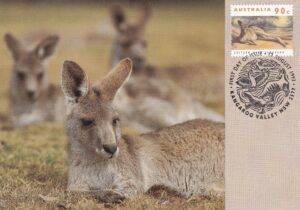 Australien Frimærke FDC