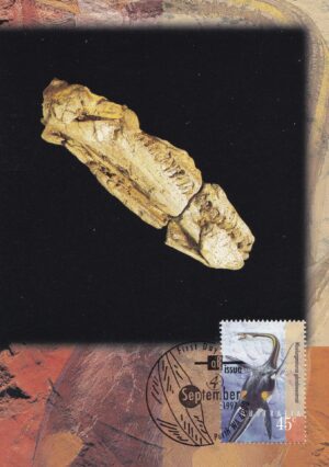 Australien Frimærke FDC